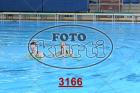 3166.jpg