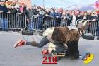 210.jpg