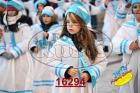 16294.jpg