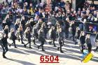 6504.jpg
