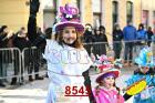 8545.jpg