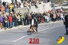 230.jpg