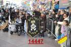 14447.jpg