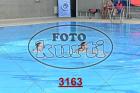 3163.jpg