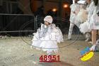 48951.jpg
