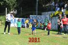 3081.jpg