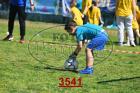 3541.jpg