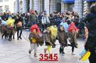 3545.jpg
