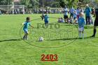 2403.jpg