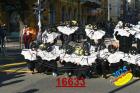 16633.jpg