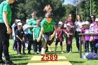 2589.jpg
