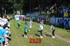 2929.jpg