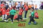 3517.jpg