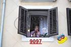 9097.jpg