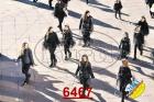 6467.jpg