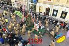 11739.jpg