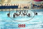 3609.jpg