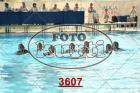 3607.jpg