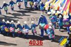 4036.jpg