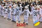24261.jpg