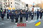 24361.jpg