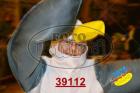 39112.jpg