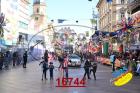16744.jpg