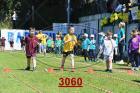 3060.jpg