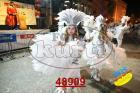 48909.jpg