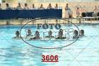 3606.jpg
