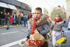6263.jpg
