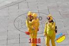 1588.jpg