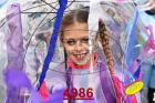 4986.jpg