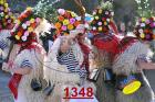 1348.jpg