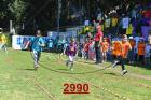 2990.jpg