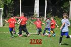 3702.jpg