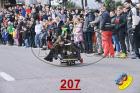 207.jpg