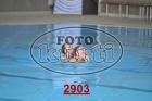 2903.jpg