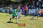 3116.jpg