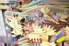 14119.jpg