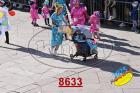 8633.jpg