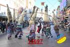 14697.jpg