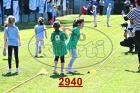 2940.jpg