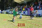 3115.jpg
