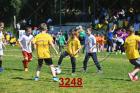 3248.jpg