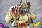 10466.jpg