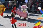 12466.jpg