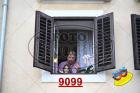9099.jpg