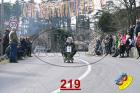 219.jpg