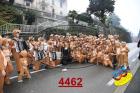 4462.jpg